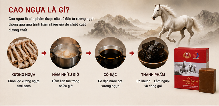 Cao Ngựa Là Gì Và Công Dụng Của Cao Ngựa