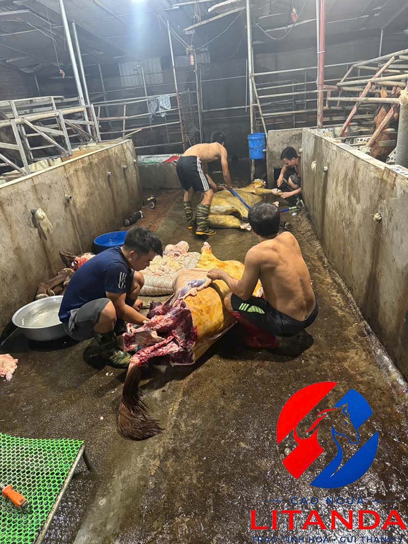Cận cảnh lò mổ ngựa tại Litanda
