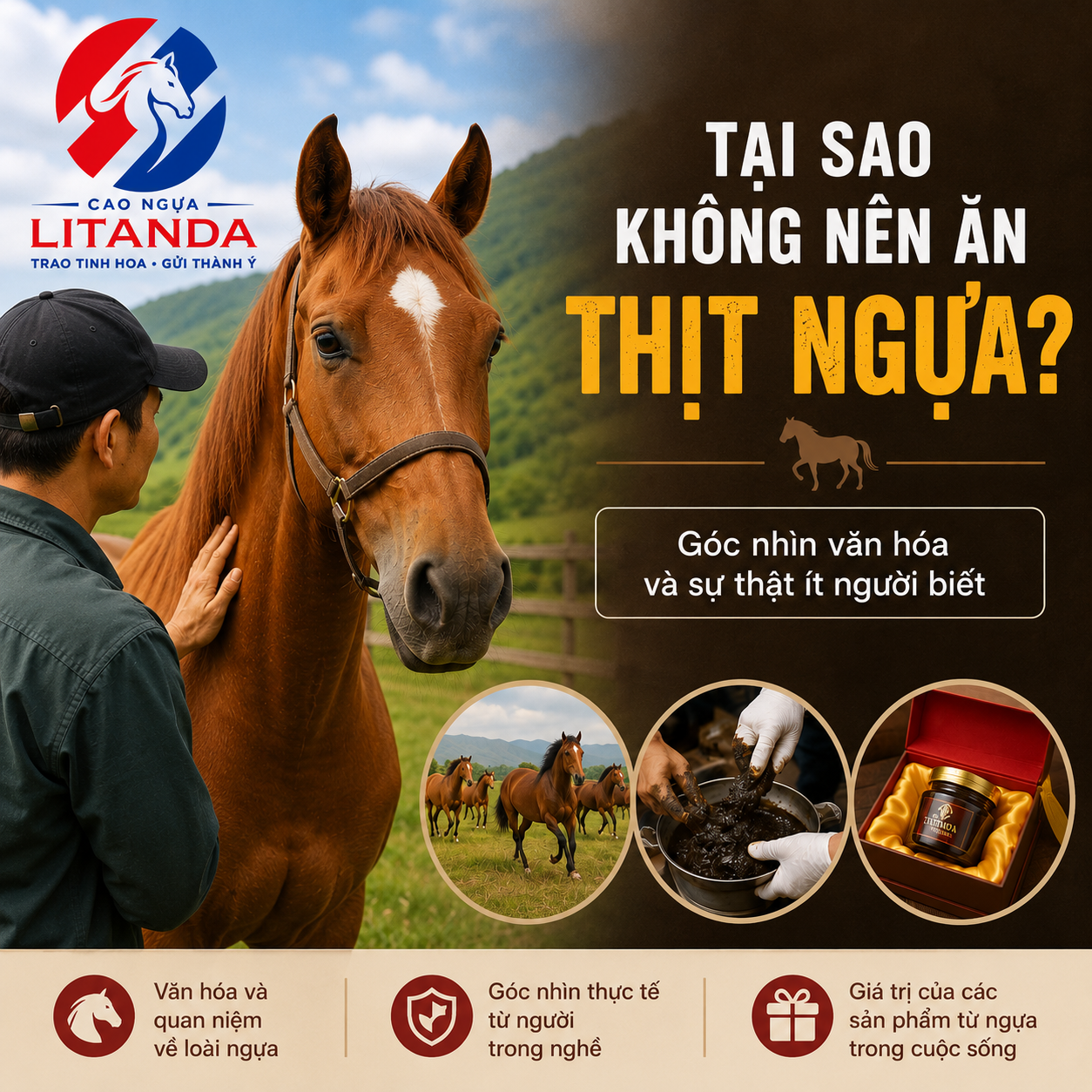 Tại Sao Không Nên Ăn Thịt Ngựa